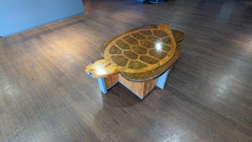 串本海中公園水族館に投稿された画像（2025/5/25）