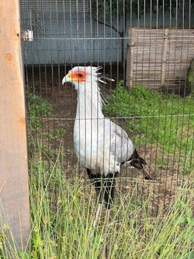 恩賜上野動物園に投稿された画像（2025/5/25）