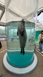 京都水族館に投稿された画像（2025/5/25）