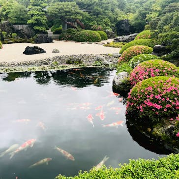 足立美術館に投稿された画像（2025/5/25）