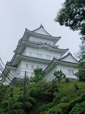小田原城に投稿された画像（2025/5/25）