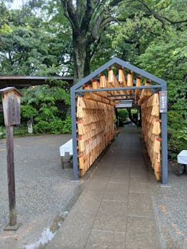 小田原城に投稿された画像（2025/5/25）