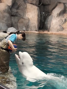 名古屋港水族館に投稿された画像（2025/5/25）