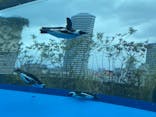 サンシャイン水族館に投稿された画像（2025/5/25）
