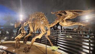 福井県立恐竜博物館に投稿された画像（2025/5/25）