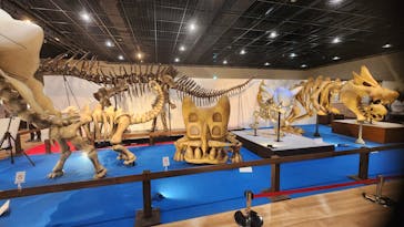 福井県立恐竜博物館に投稿された画像（2025/5/25）