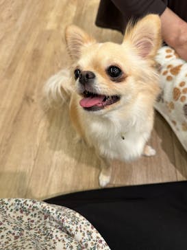 いぬカフェRio ゆめタウン佐賀店に投稿された画像（2025/5/25）