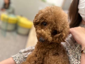 いぬカフェRio ゆめタウン佐賀店に投稿された画像（2025/5/25）