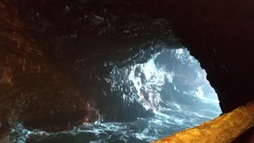 三段壁洞窟に投稿された画像（2025/5/25）