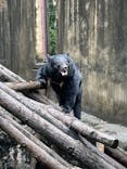 恩賜上野動物園に投稿された画像（2025/5/25）