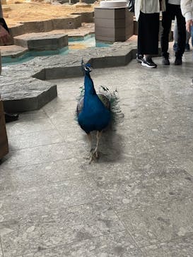 NIFREL（ニフレル）に投稿された画像（2025/5/25）