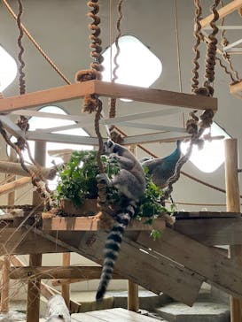 NIFREL（ニフレル）に投稿された画像（2025/5/25）