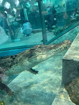 NIFREL（ニフレル）に投稿された画像（2025/5/25）