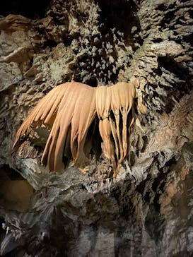 CAVE OKINAWAに投稿された画像（2025/5/25）