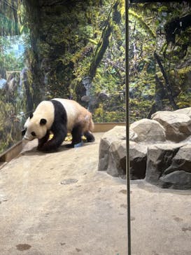 恩賜上野動物園に投稿された画像（2025/5/25）