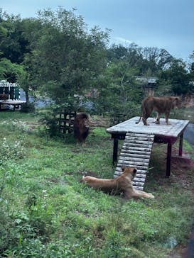 東京動物園協会_多摩動物公園に投稿された画像（2025/5/25）