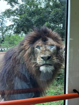 東京動物園協会_多摩動物公園に投稿された画像（2025/5/25）