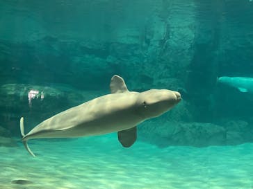 名古屋港水族館に投稿された画像（2025/5/25）