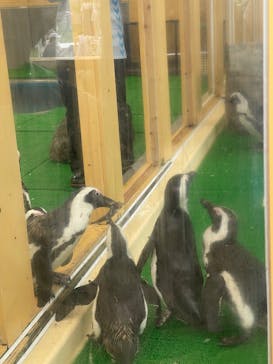 名古屋港水族館に投稿された画像（2025/5/25）