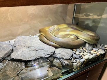 カワスイ 川崎⽔族館に投稿された画像（2025/5/25）