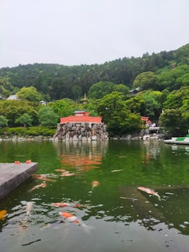 勝尾寺に投稿された画像（2025/5/25）