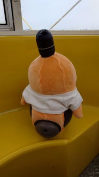 ひらかたパークに投稿された画像（2025/5/25）