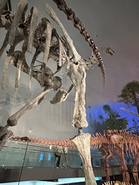 福井県立恐竜博物館に投稿された画像（2025/5/25）