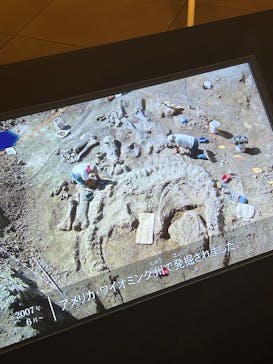福井県立恐竜博物館に投稿された画像（2025/5/25）