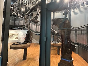 福井県立恐竜博物館に投稿された画像（2025/5/25）