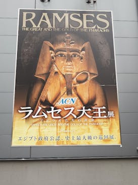 ACN ラムセス大王展 ファラオたちの黄金に投稿された画像（2025/5/25）