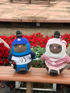 ひらかたパークに投稿された画像（2025/5/25）