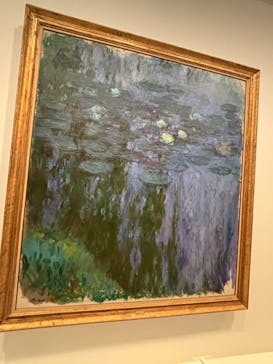 モネ　睡蓮のときに投稿された画像（2025/5/25）