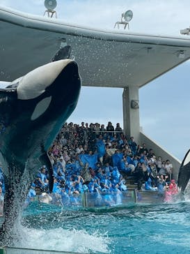 鴨川シーワールドに投稿された画像（2025/5/25）