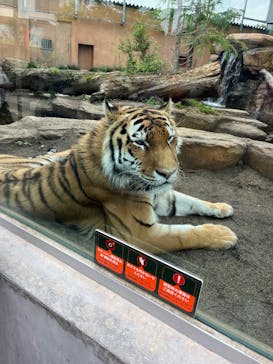 那須どうぶつ王国に投稿された画像（2025/5/25）