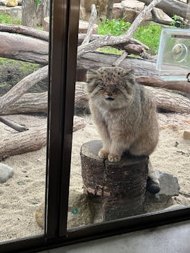 那須どうぶつ王国に投稿された画像（2025/5/25）