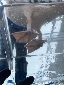 サンシャイン水族館に投稿された画像（2025/5/25）