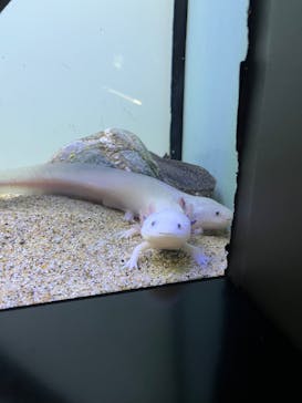 サンシャイン水族館に投稿された画像（2025/5/25）