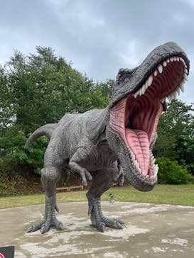 福井県立恐竜博物館に投稿された画像（2025/5/25）