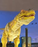 福井県立恐竜博物館に投稿された画像（2025/5/26）