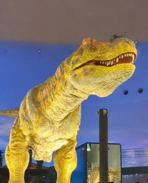 福井県立恐竜博物館に投稿された画像（2025/5/25）