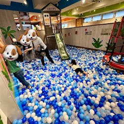 しゅみの森東新宿店に投稿された画像（2025/5/25）