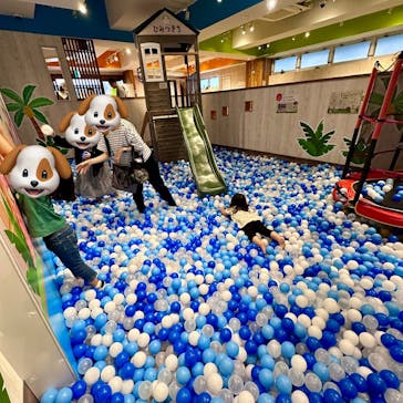 しゅみの森東新宿店に投稿された画像（2025/5/25）