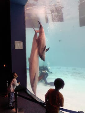 名古屋港水族館に投稿された画像（2025/5/25）