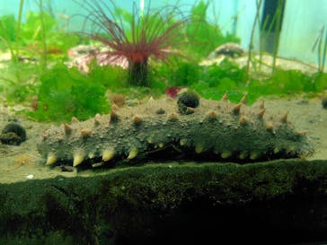 名古屋港水族館に投稿された画像（2025/5/25）