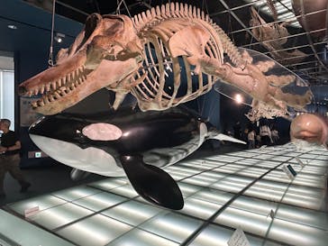 名古屋港水族館に投稿された画像（2025/5/25）