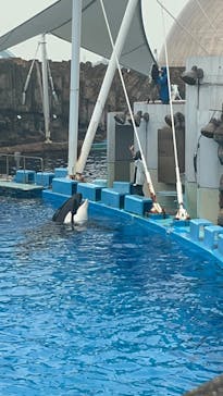 名古屋港水族館に投稿された画像（2025/5/25）