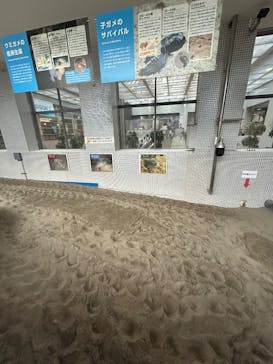 名古屋港水族館に投稿された画像（2025/5/25）