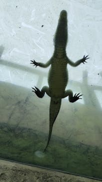 沖縄こどもの国に投稿された画像（2025/5/25）