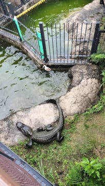 沖縄こどもの国に投稿された画像（2025/5/25）