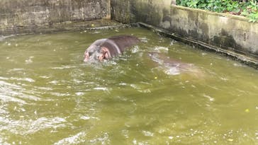 沖縄こどもの国に投稿された画像（2025/5/25）